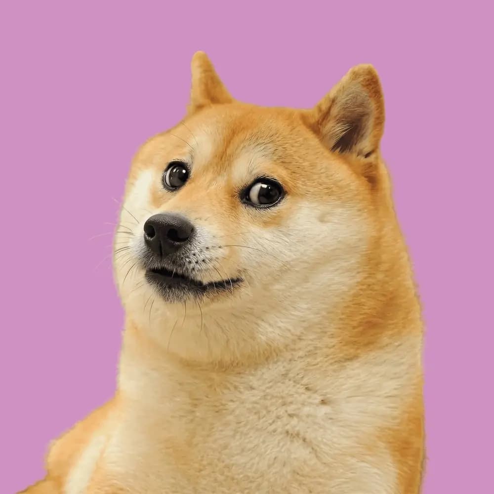 Мемы