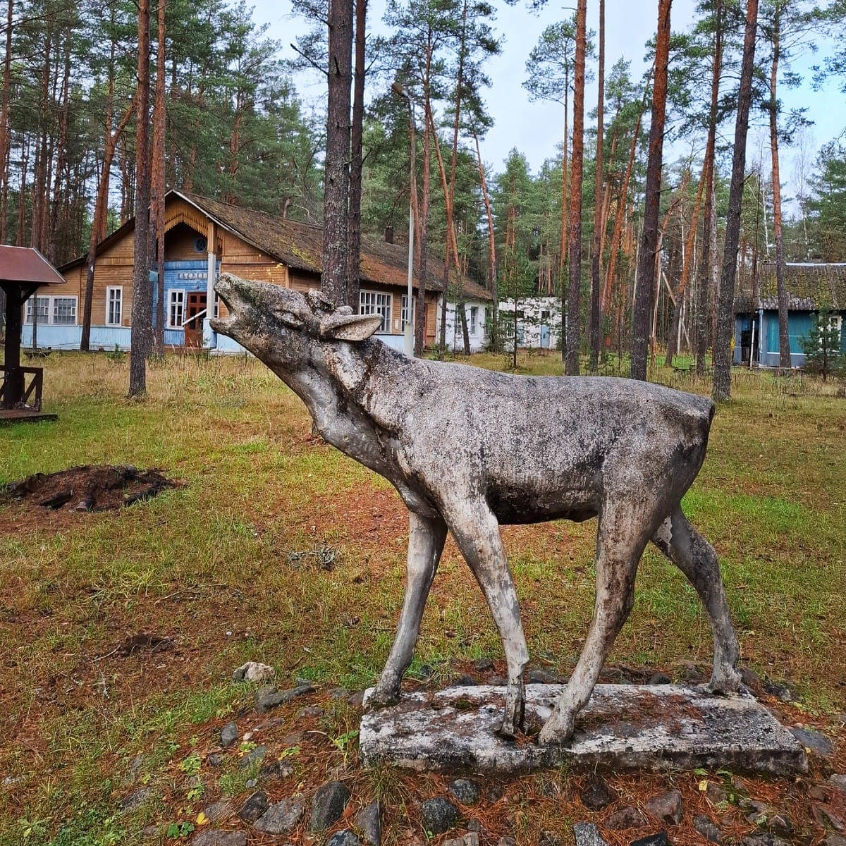 Колоритная фигура лося (оленя?) запоминается надолго. Фото: https://ok.ru/dushevny.shagomer