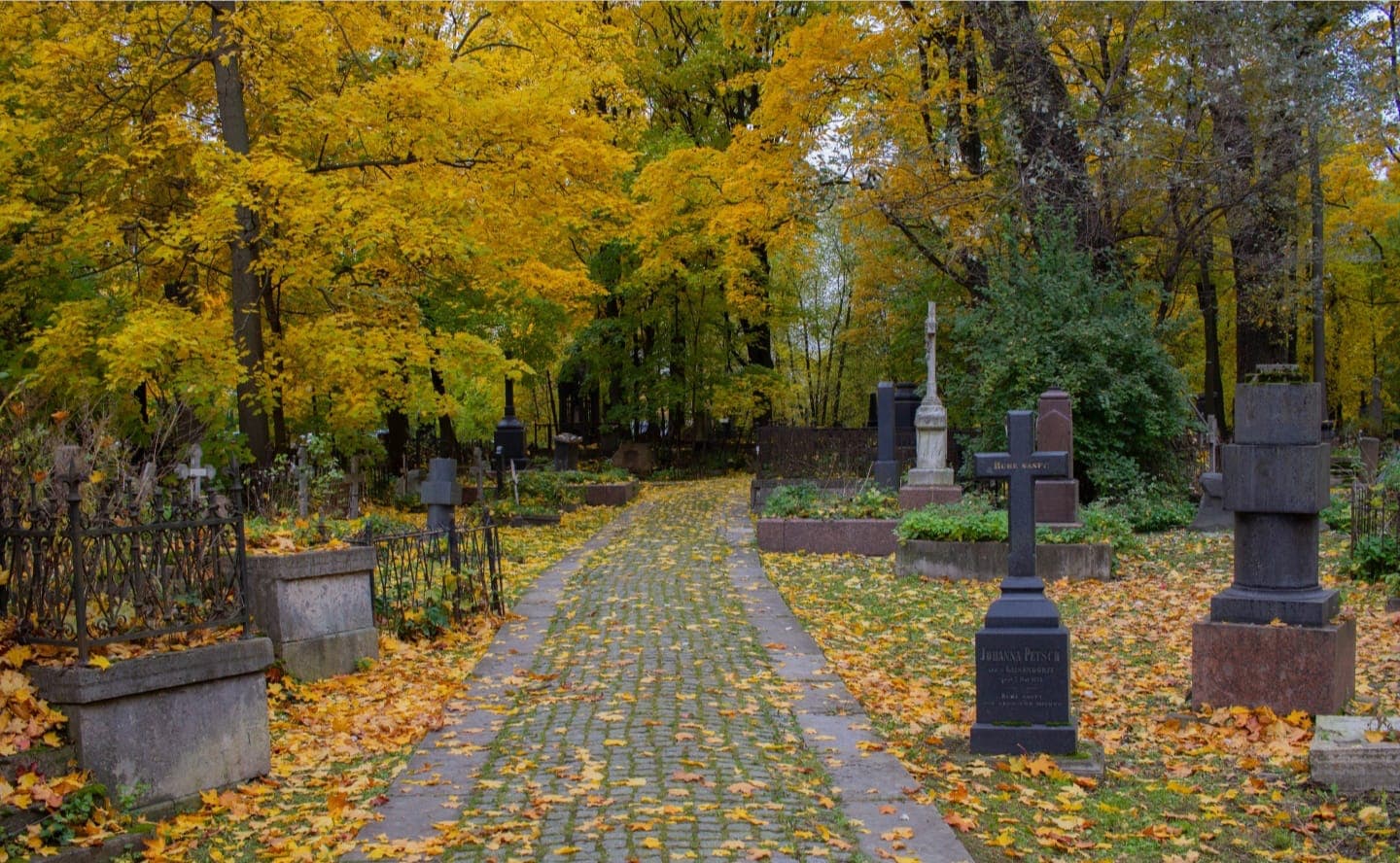 Фото без описания