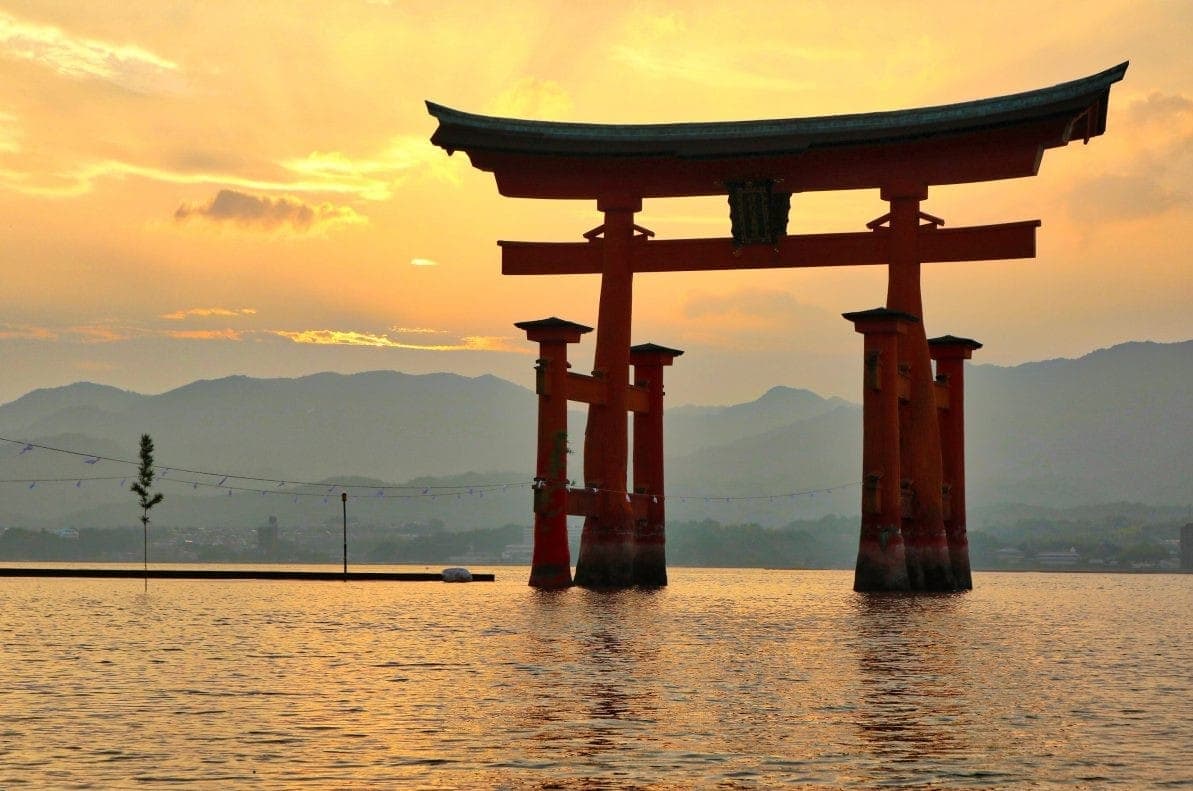 При закатном солнце особенно красивы. Фото: blog.japanwondertravel.com
