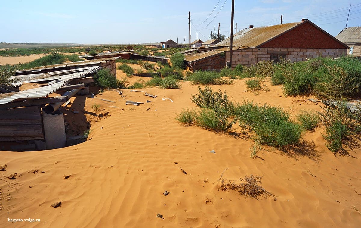 Пейзаж поселка Барханы