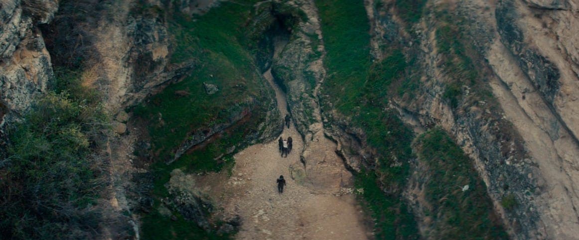 Кадр из фильма "Бременские музыканты". 2024, "ТриТэ" телеканал "Россия-1", "Союзмультфильм"