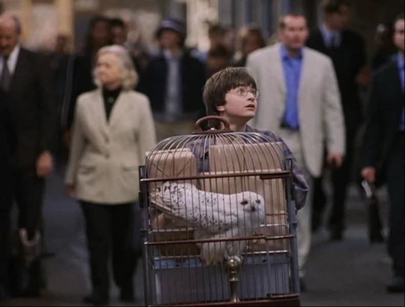 Кадр из фильма "Гарри Поттер и философский камень". Warner Bros Studio, 2001