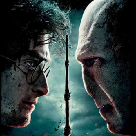 Разговор Гарри и Дамблдора в , «Гарри Поттер и Дары смерти»