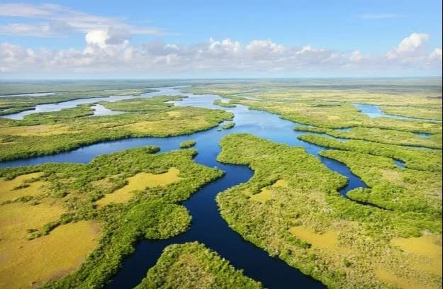 Florida Everglades - вид сверху. Фото: Google Maps