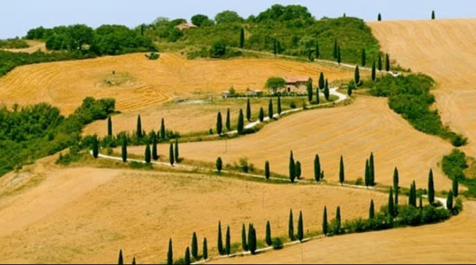 Пшеничные поля и виллу Максимуса снимали здесь