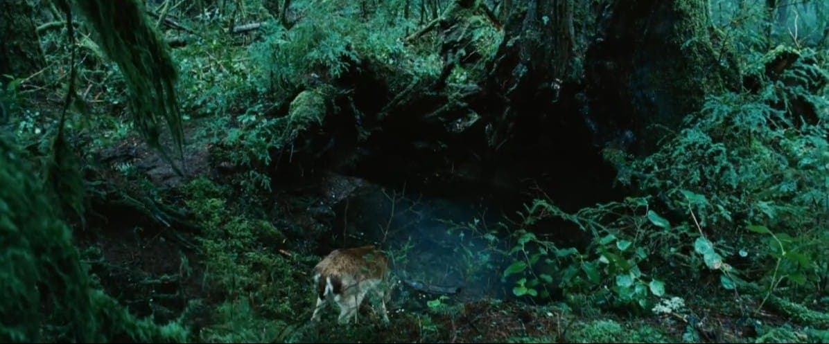 Кадр из фильма "Сумерки", 2008, Temple Hill Entertainment, Maverick Films/Imprint Entertainment