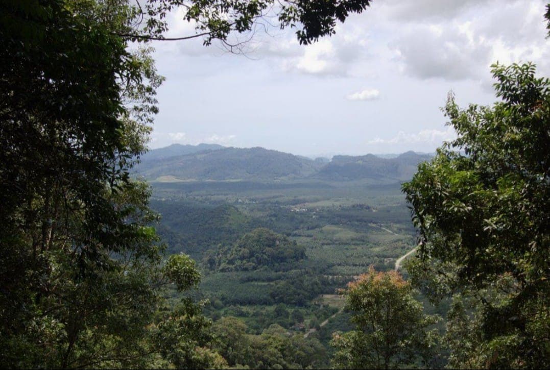 Вид на национальный парк Khao Phanom Bencha. Фото: Panoramio