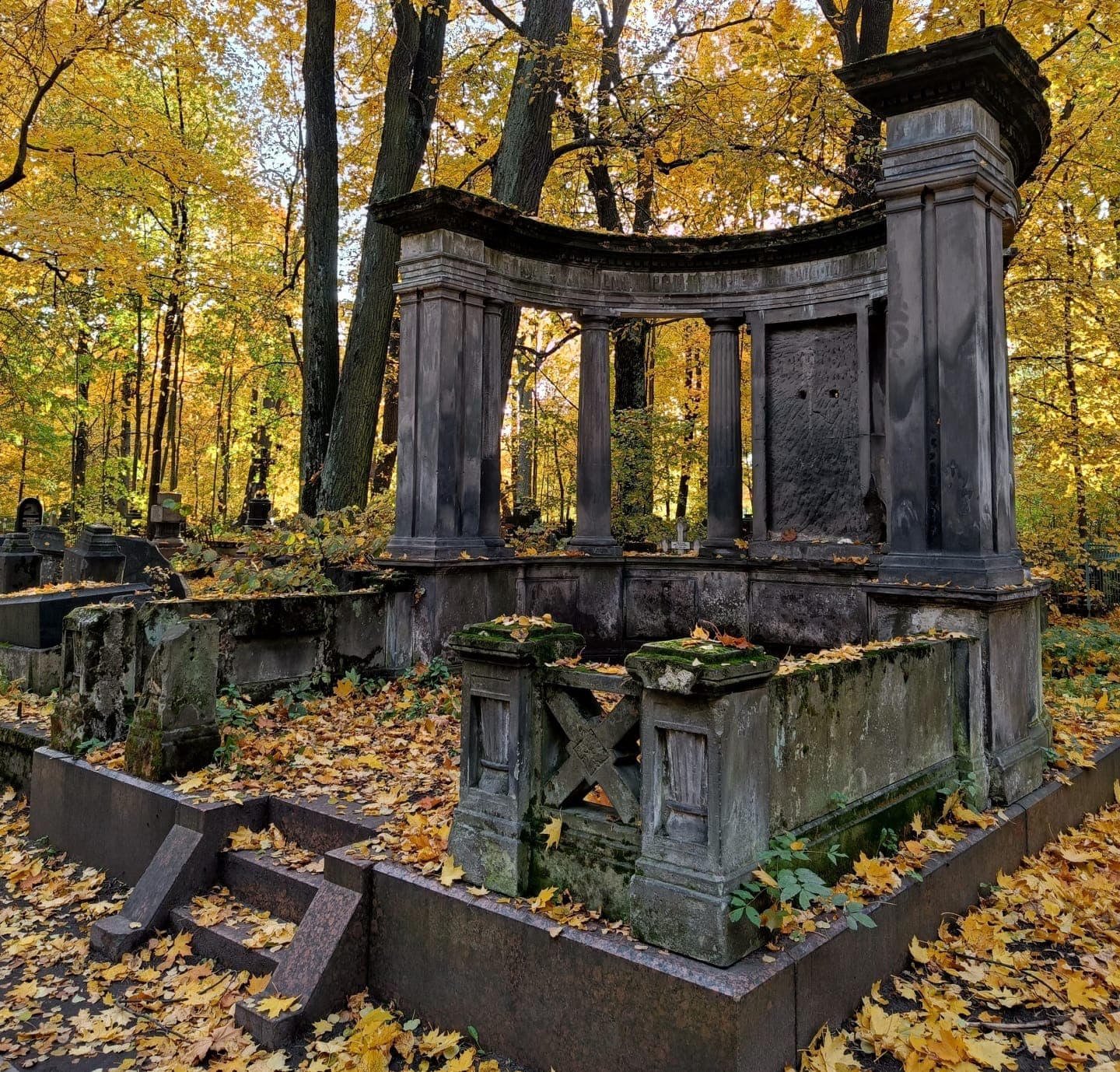 Фото без описания