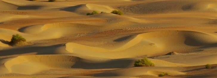 Съёмки в оазисе велись среди дюн, некоторые из которых достигают в высоту более 180 метров. Фото: sabcan9794