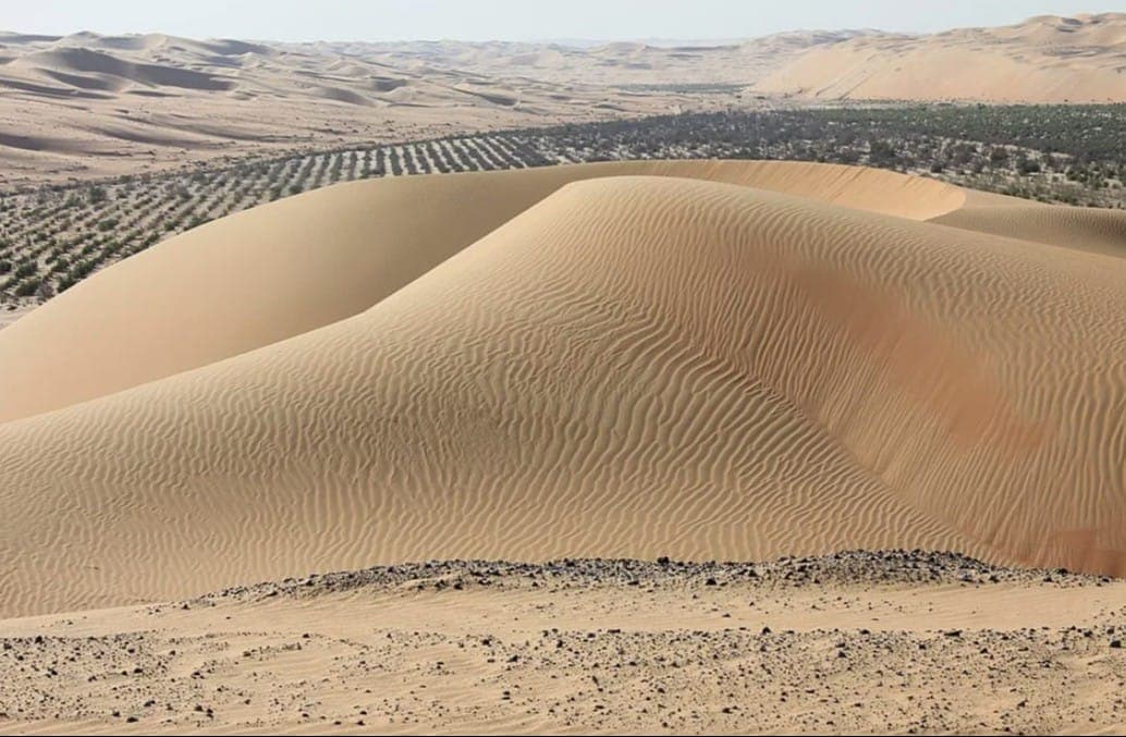 Оазис Лива (Liwa Oasis) - обширный регион в пустыне Руб-эль-Хали. Места для панорамных съемок просто идеальные. Фото: Xiaotong Gao